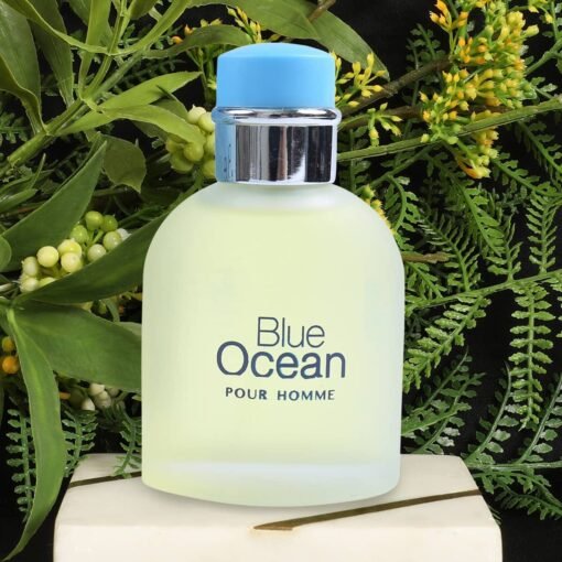 Blue Ocean Spray - Image 3